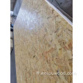 Planche de particules laminées LSB OSB 9 mm